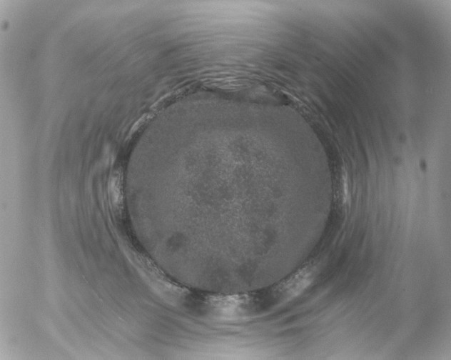 X0000056320131200509092312