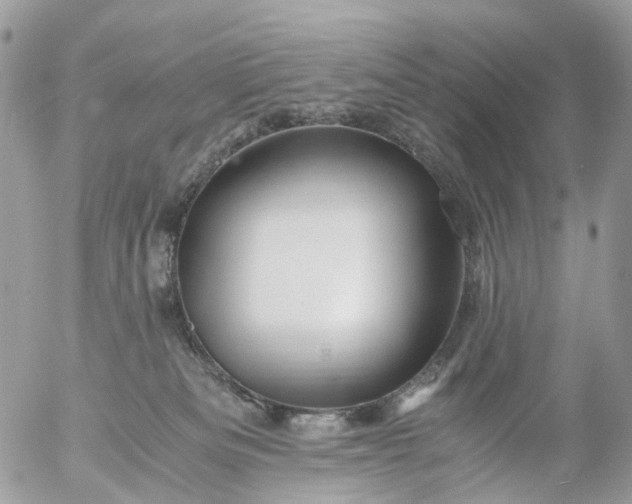 X0000056320133200509092312