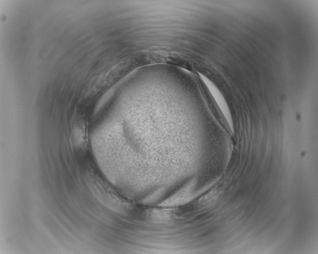 X0000056320134200509092312