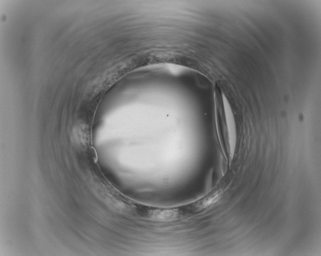 X0000056320135200509092312