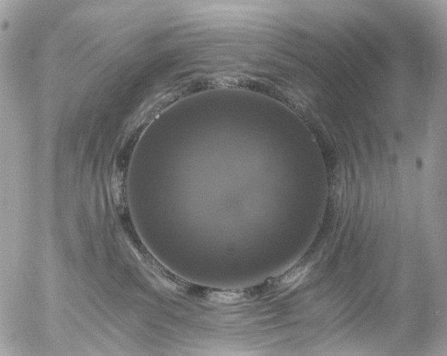 X0000056320139200509092312