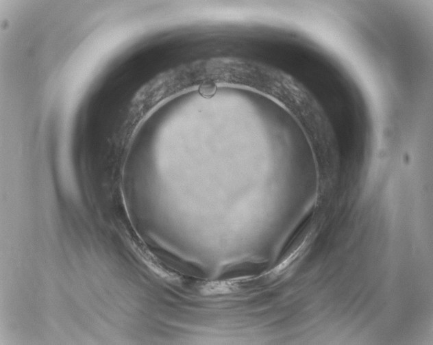 X0000056320142200509092312