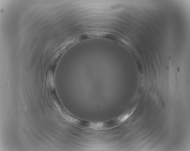 X0000056320143200509092312