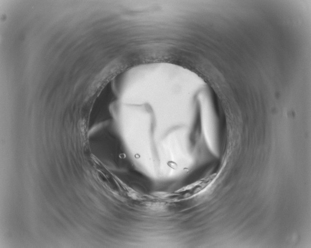 X0000056320144200509092312