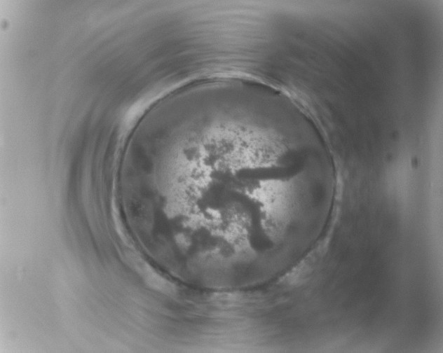 X0000056320145200509092311