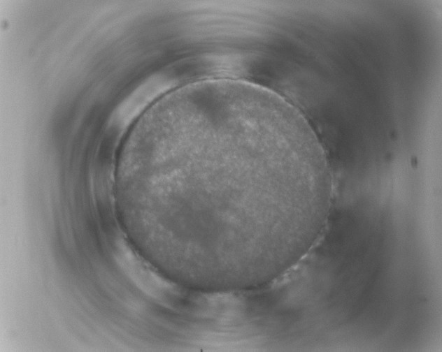 X0000056320146200509092311