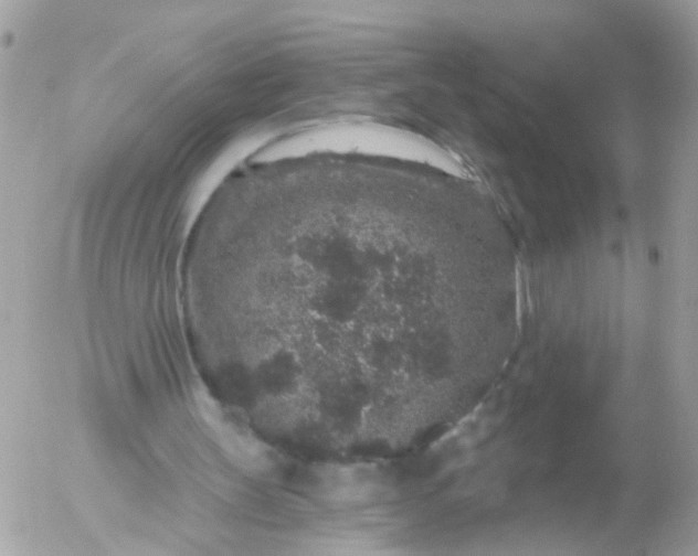 X0000056320147200509092311