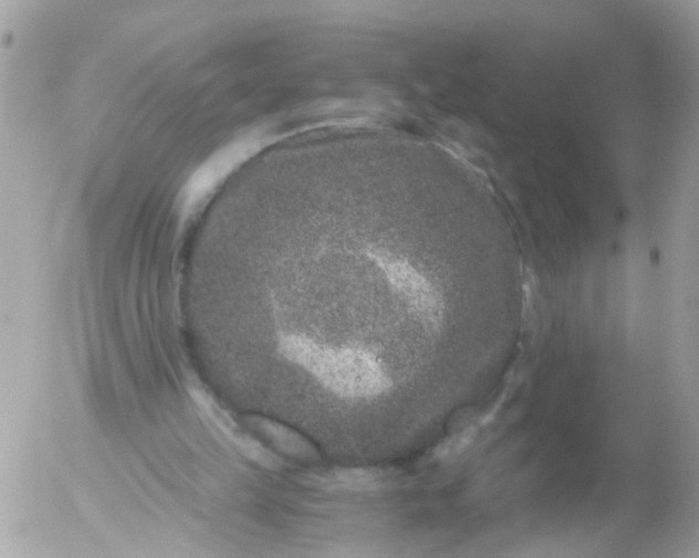 X0000056320149200509092311