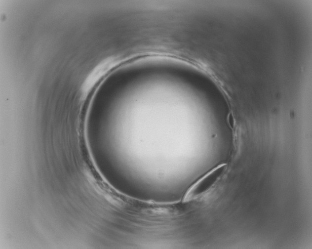 X0000056320151200509092311