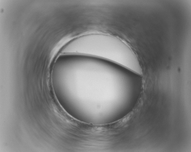 X0000056320152200509092311