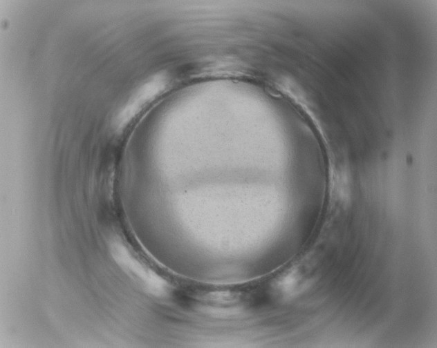 X0000056320153200509092311