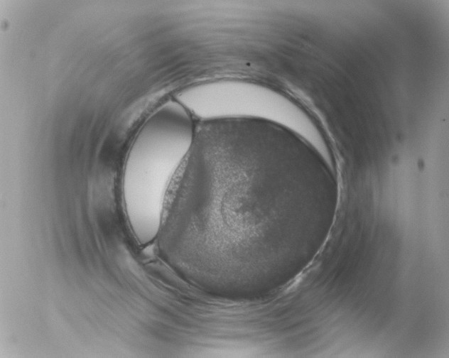 X0000056320154200509092311