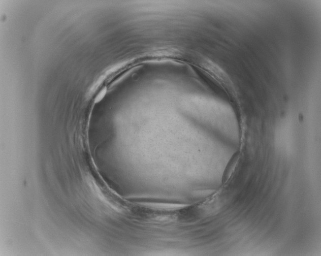 X0000056320155200509092311