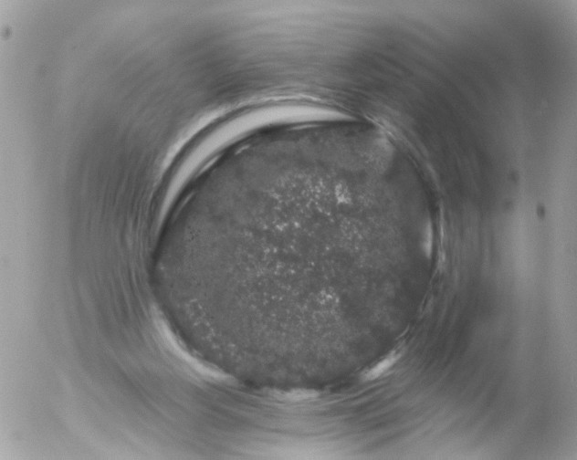 X0000056320156200509092311