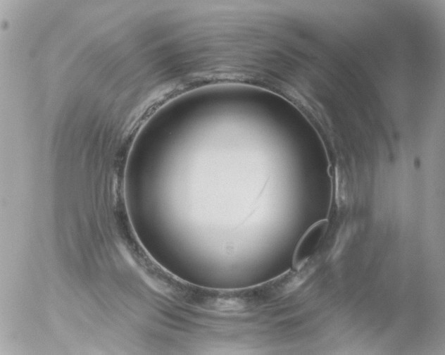 X0000056320157200509092311