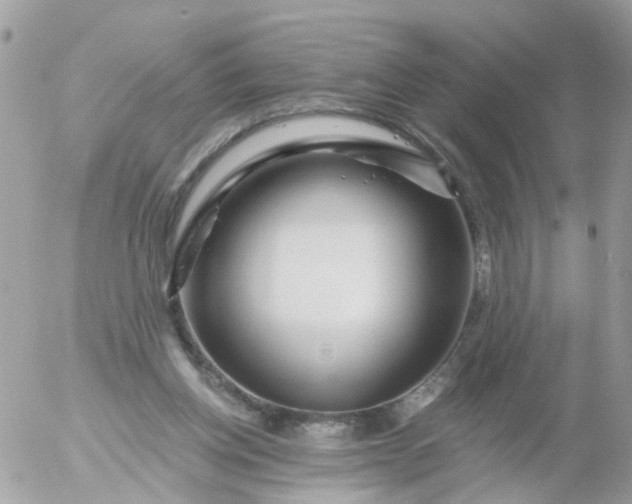 X0000056320158200509092311