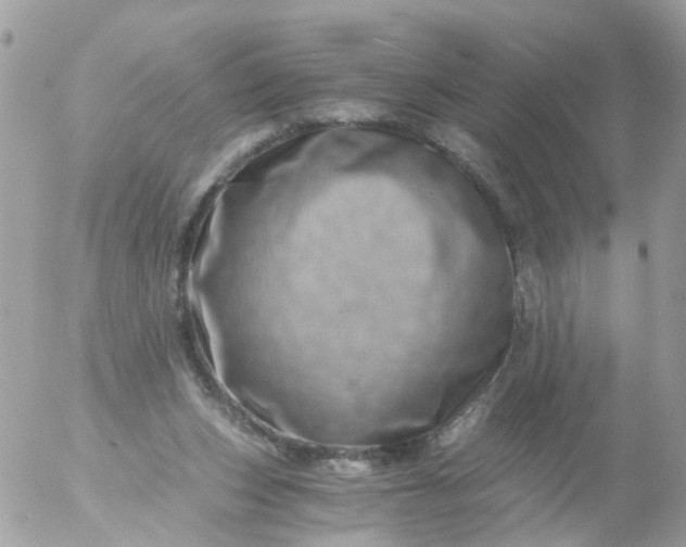 X0000056320159200509092311