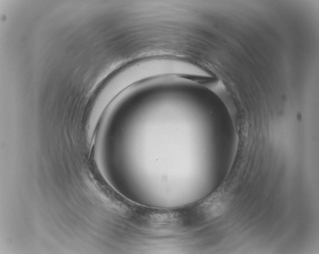 X0000056320160200509092311