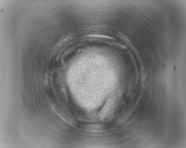 X0000056320161200509092311