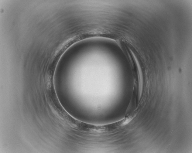 X0000056320164200509092311