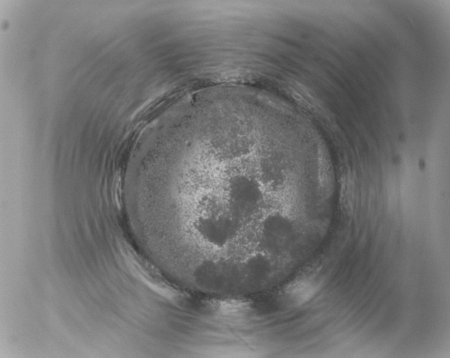 X0000056320165200509092311