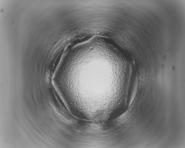 X0000056320166200509092311