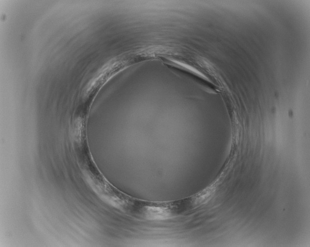 X0000056320167200509092311