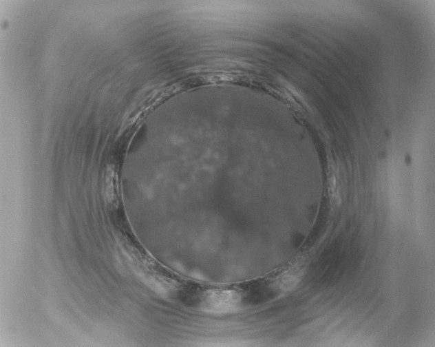 X0000056320169200509092311