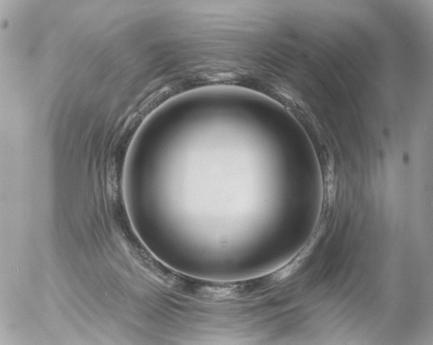 X0000056320170200509092312