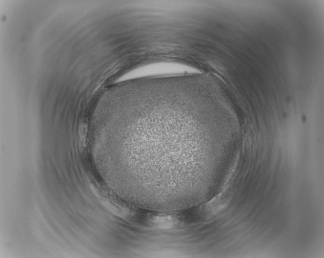 X0000056320171200509092312