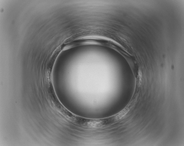 X0000056320172200509092312