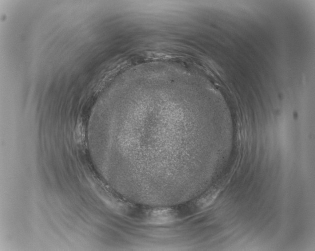 X0000056320173200509092312