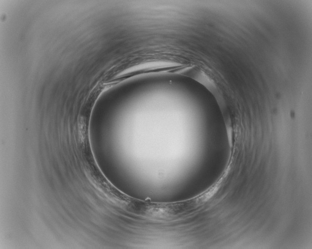 X0000056320174200509092312