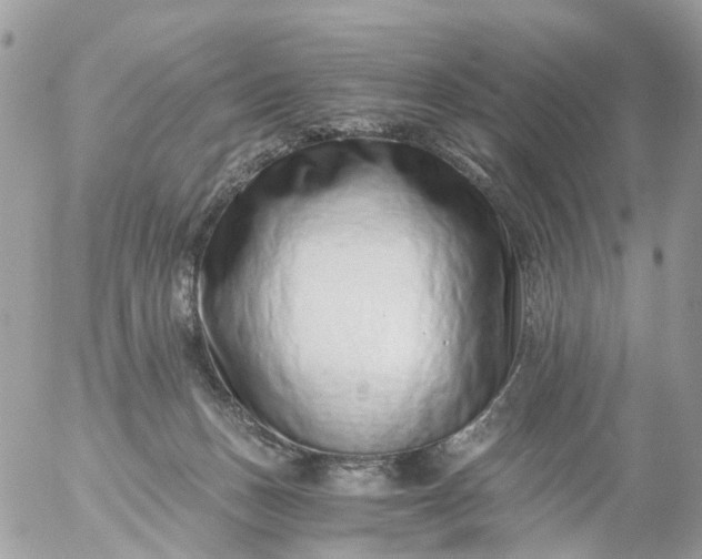 X0000056320175200509092312