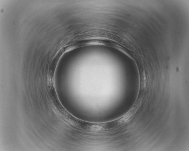 X0000056320176200509092312