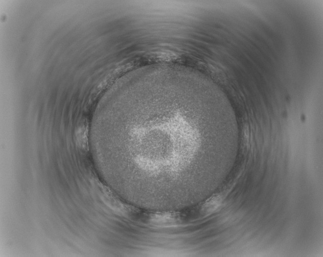 X0000056320177200509092312