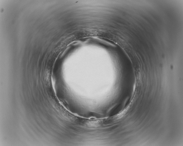 X0000056320178200509092312