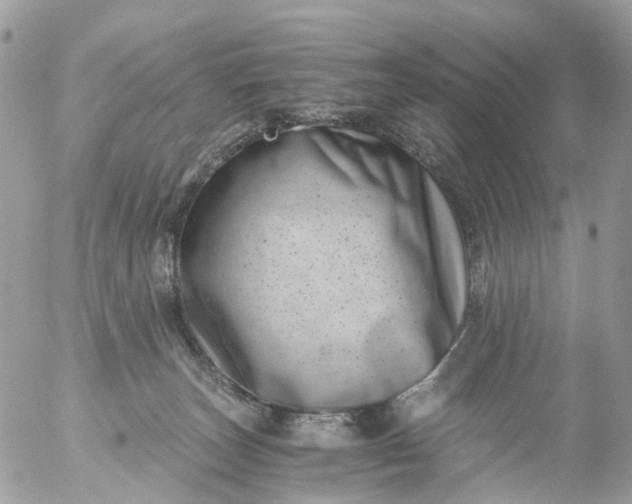 X0000056320179200509092312