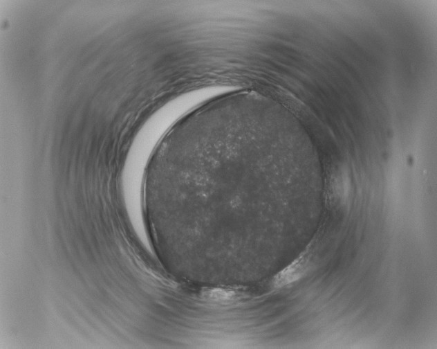 X0000056320180200509092312