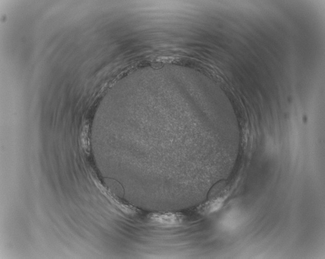 X0000056320181200509092312