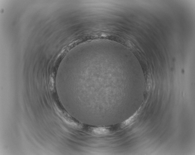 X0000056320183200509092312