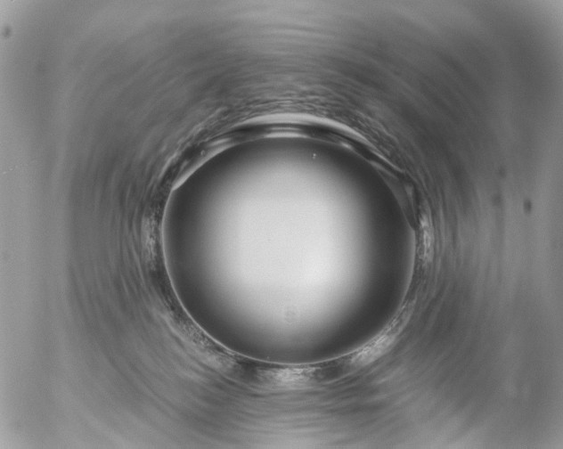 X0000056320184200509092312