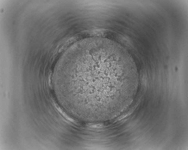 X0000056320185200509092312