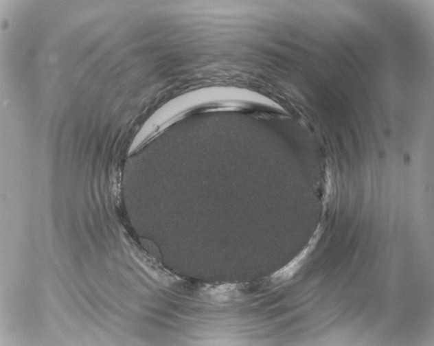 X0000056320186200509092312