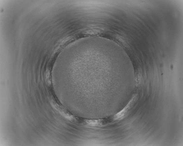 X0000056320187200509092312