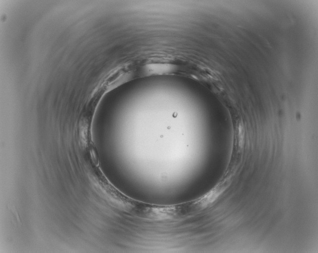 X0000056320188200509092312