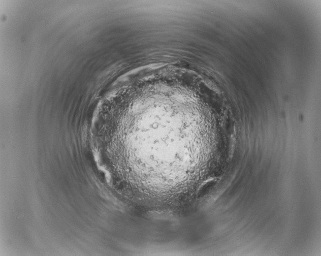 X0000056320189200509092312