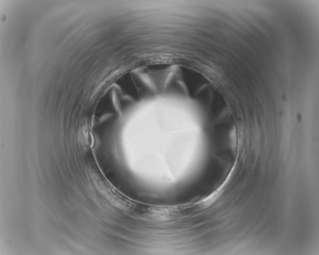 X0000056320190200509092312