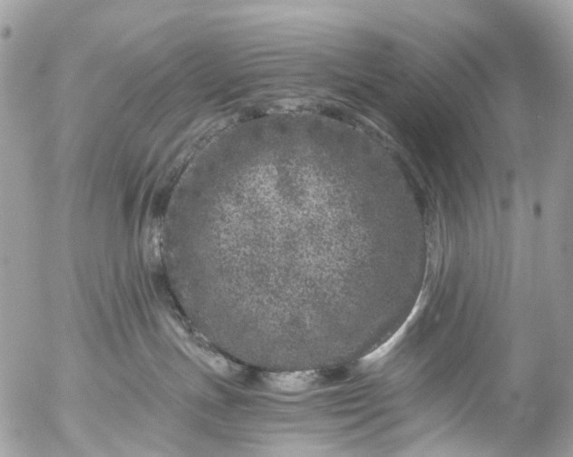 X0000056320191200509092312