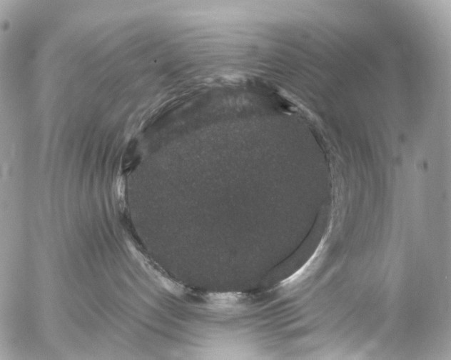 X0000056320192200509092312